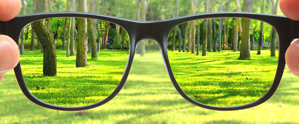 Digital Eyeglass Lenses